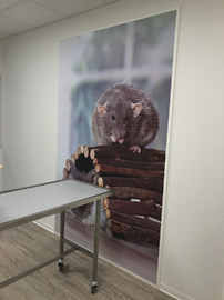 foliendrucke-karlsruhe